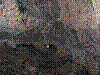 OPN68.jpg