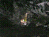 OPN76.jpg