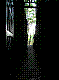 OPN97.jpg
