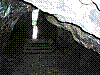 OPN99.jpg