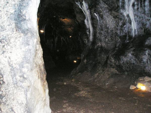 OPN104.jpg