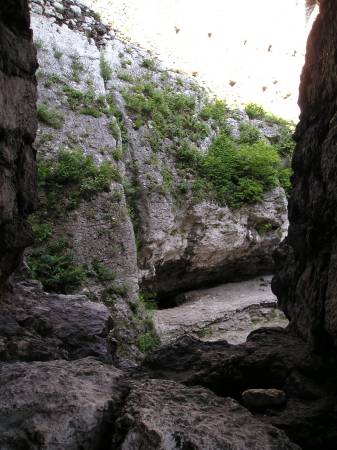 ogrodzieniec21.jpg