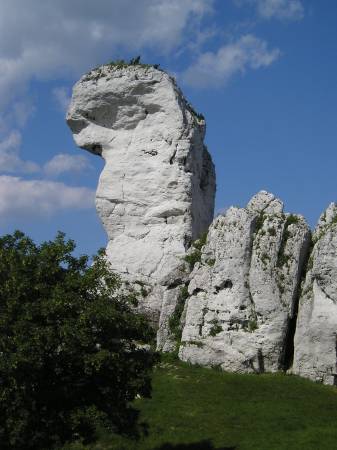ogrodzieniec3.jpg