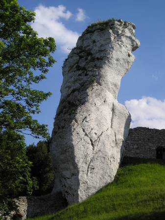 ogrodzieniec31.jpg