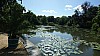 DSC_0716.jpg