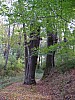 P1010423.jpg