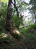P1010424.jpg