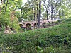 P1010425.jpg