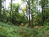 P1010428.jpg
