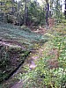 P1010430.jpg