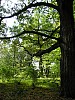 P1010431.jpg