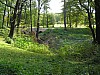 P1010432.jpg