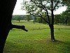 P1010435.jpg