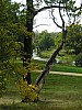 P1010442.jpg