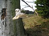 P1010445.jpg