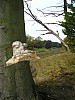 P1010446.jpg