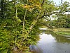 P1010453.jpg