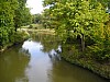 P1010454.jpg