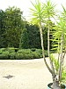 P1010463.jpg