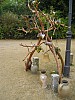 P1010464.jpg