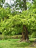 P1010466.jpg