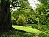 P1010468.jpg