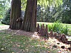 P1010471.jpg
