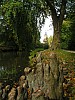 P1010473.jpg