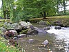 P1010474.jpg