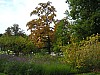 P1010479.jpg