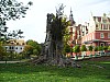 P1010490.jpg