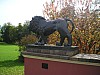 P1010491.jpg