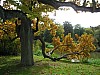 P1010495.jpg