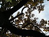 P1010496.jpg
