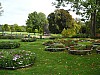 P1010499.jpg