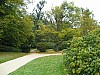P1010525.jpg
