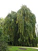 P1010530.jpg