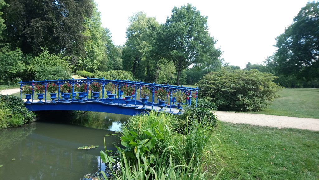 DSC_0718.jpg