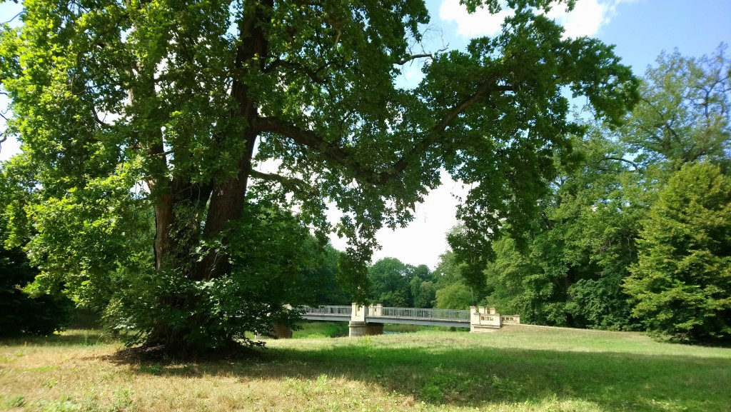 DSC_0725.jpg