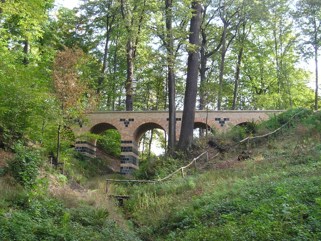 P1010426.jpg