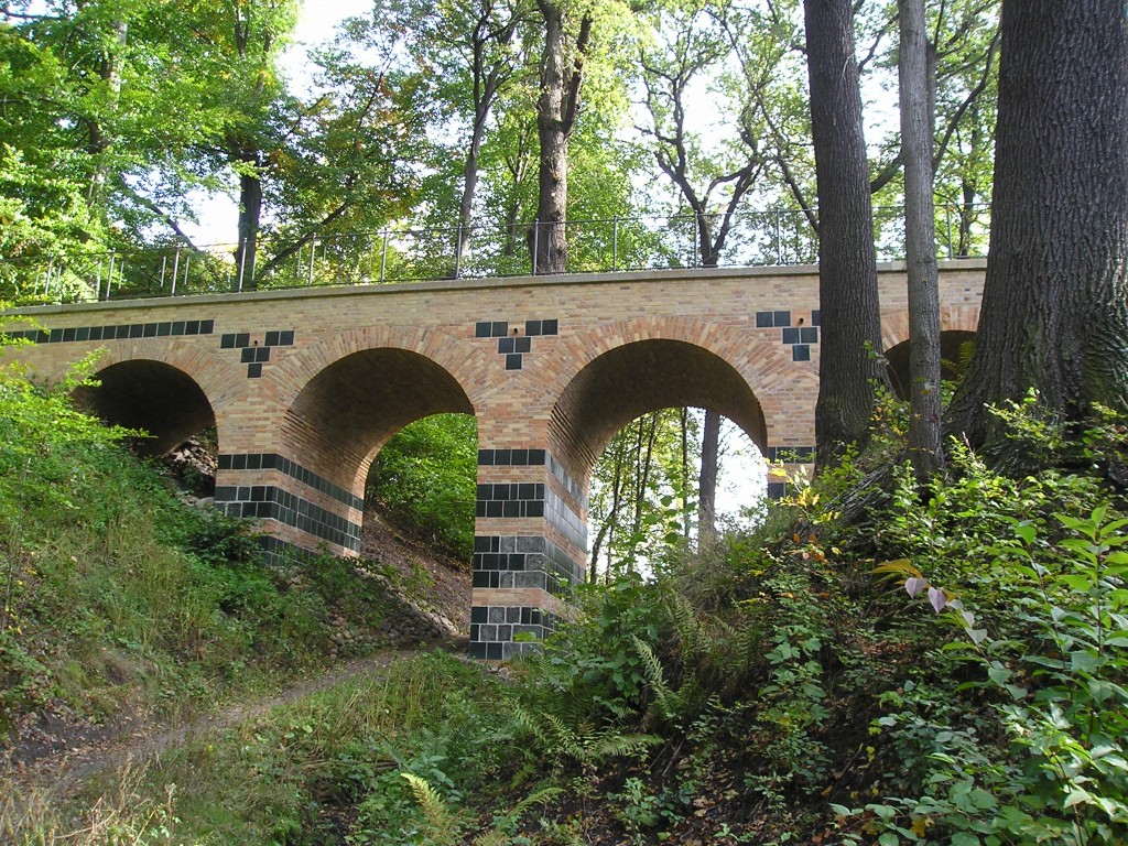 P1010427.jpg
