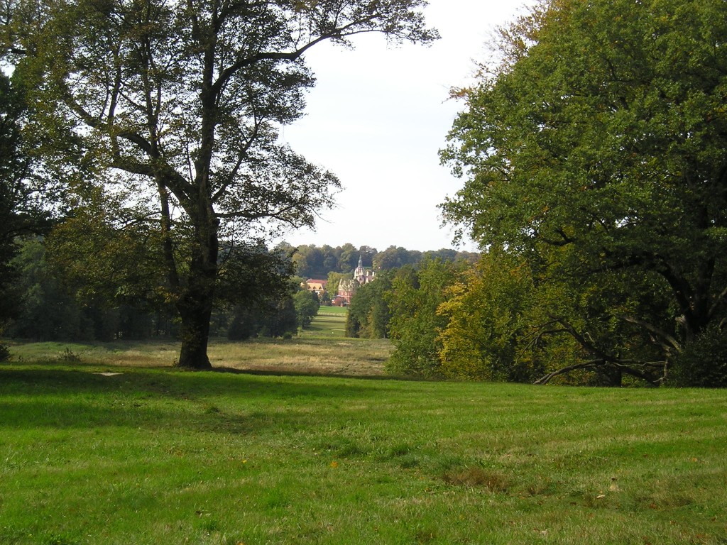 P1010433.jpg