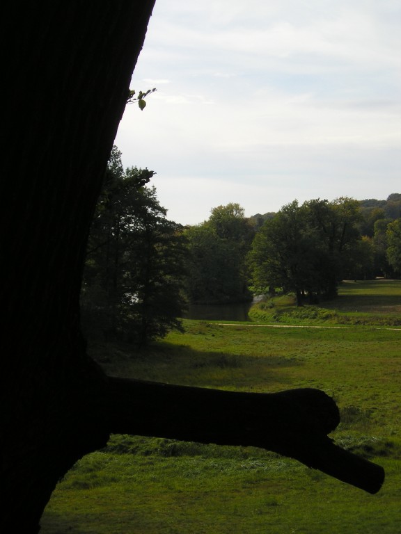 P1010434.jpg