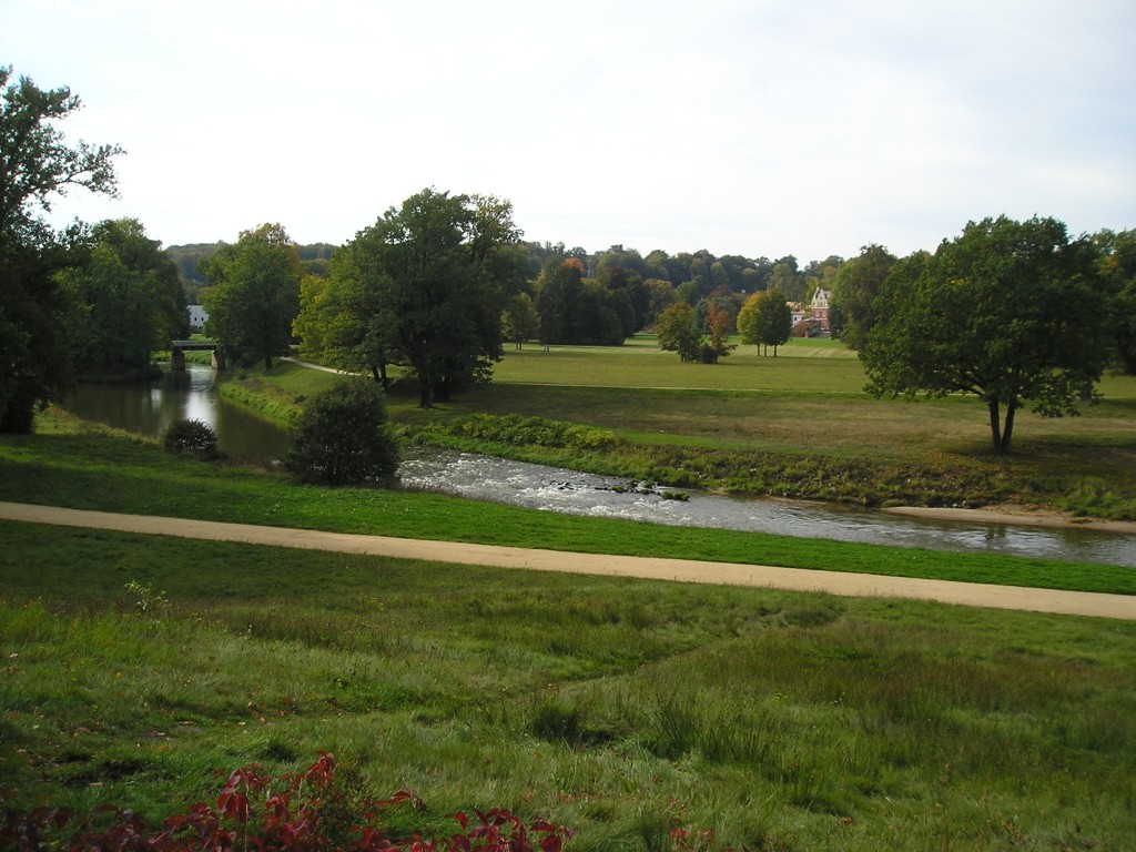 P1010437.jpg