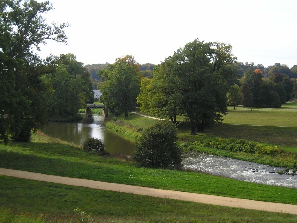 P1010439.jpg