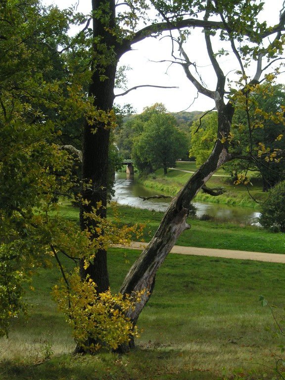 P1010442.jpg