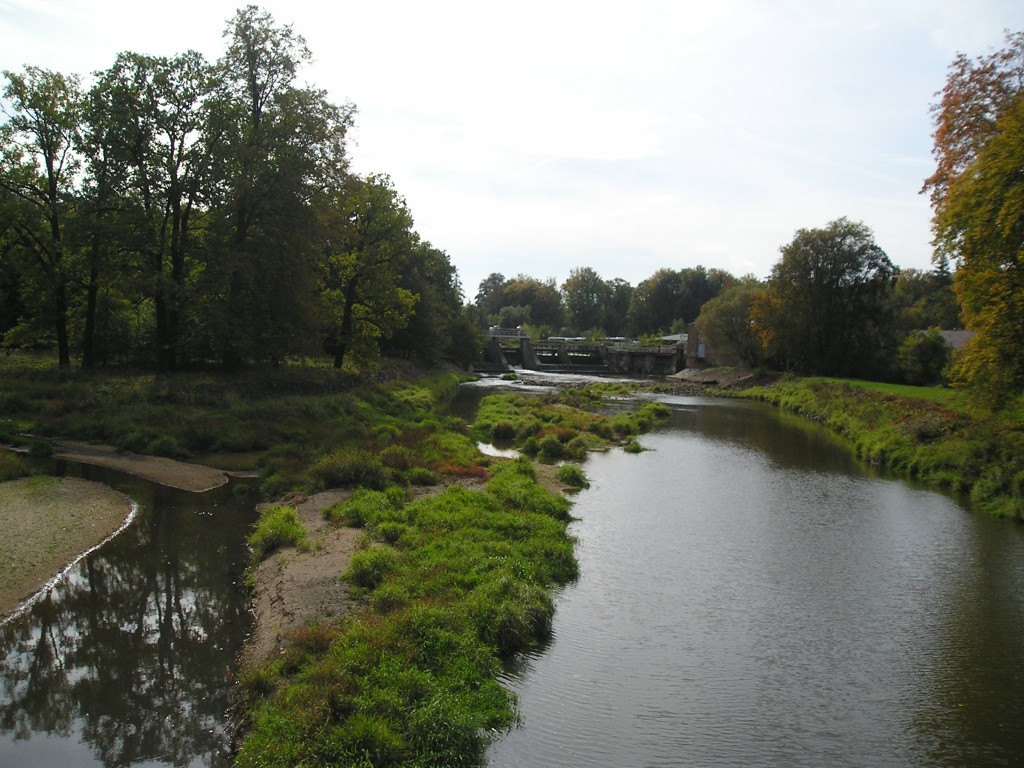 P1010450.jpg
