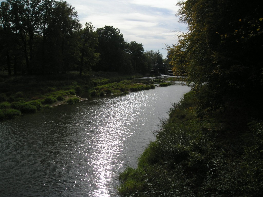 P1010452.jpg