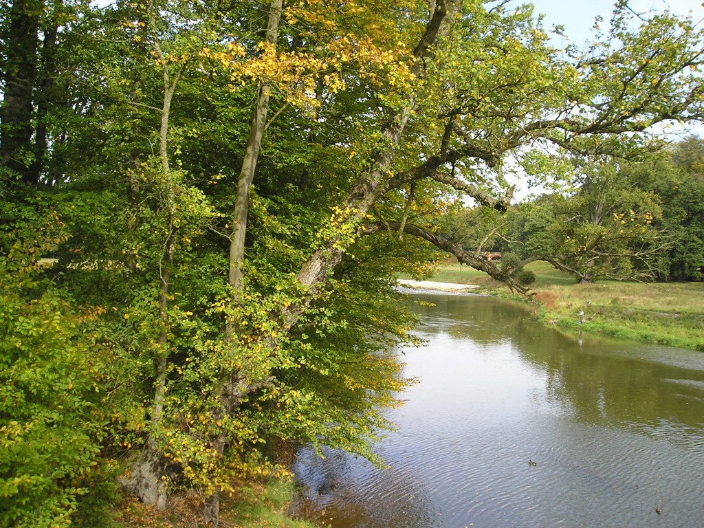 P1010453.jpg