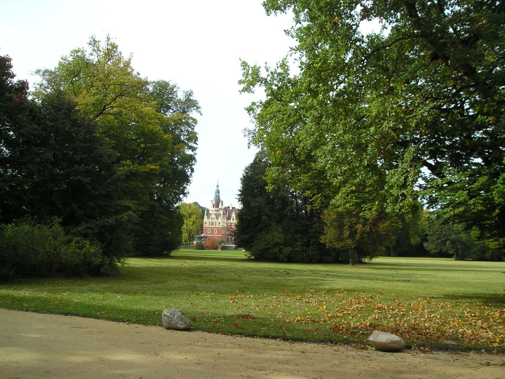 P1010455.jpg